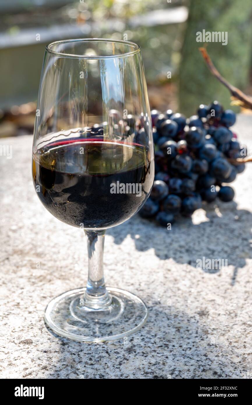 Tasting of Portuguese fortified dessert and dry port wine, produced in