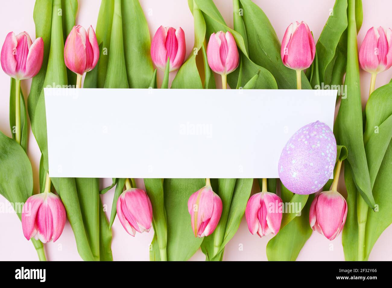spring flat lay with easter egg, paper sheet and tulips isolated on ...