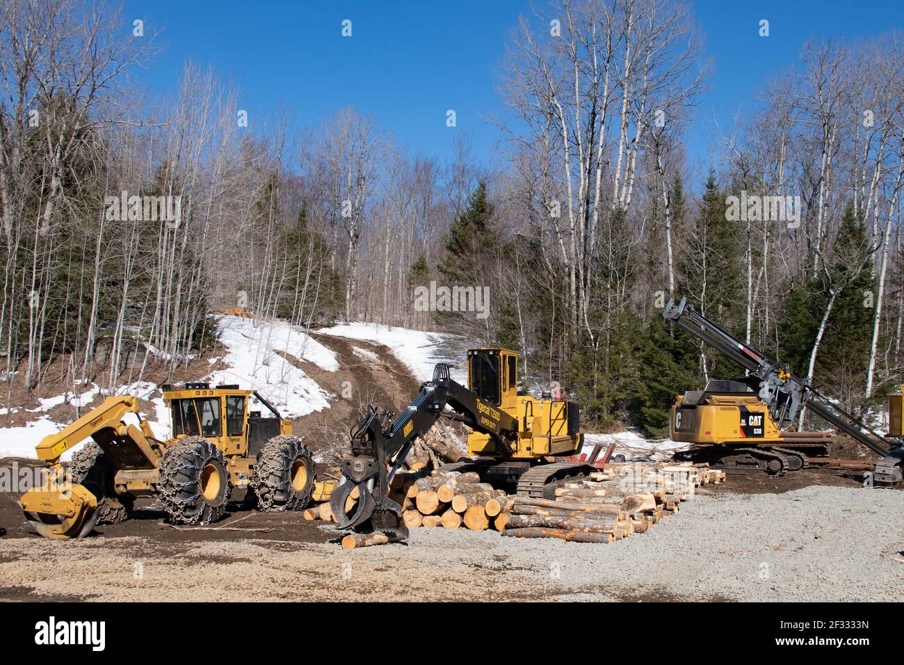 Logging equipment and pile of logs at a job site in the Adirondack Mountains, NY, USA Stock Photo