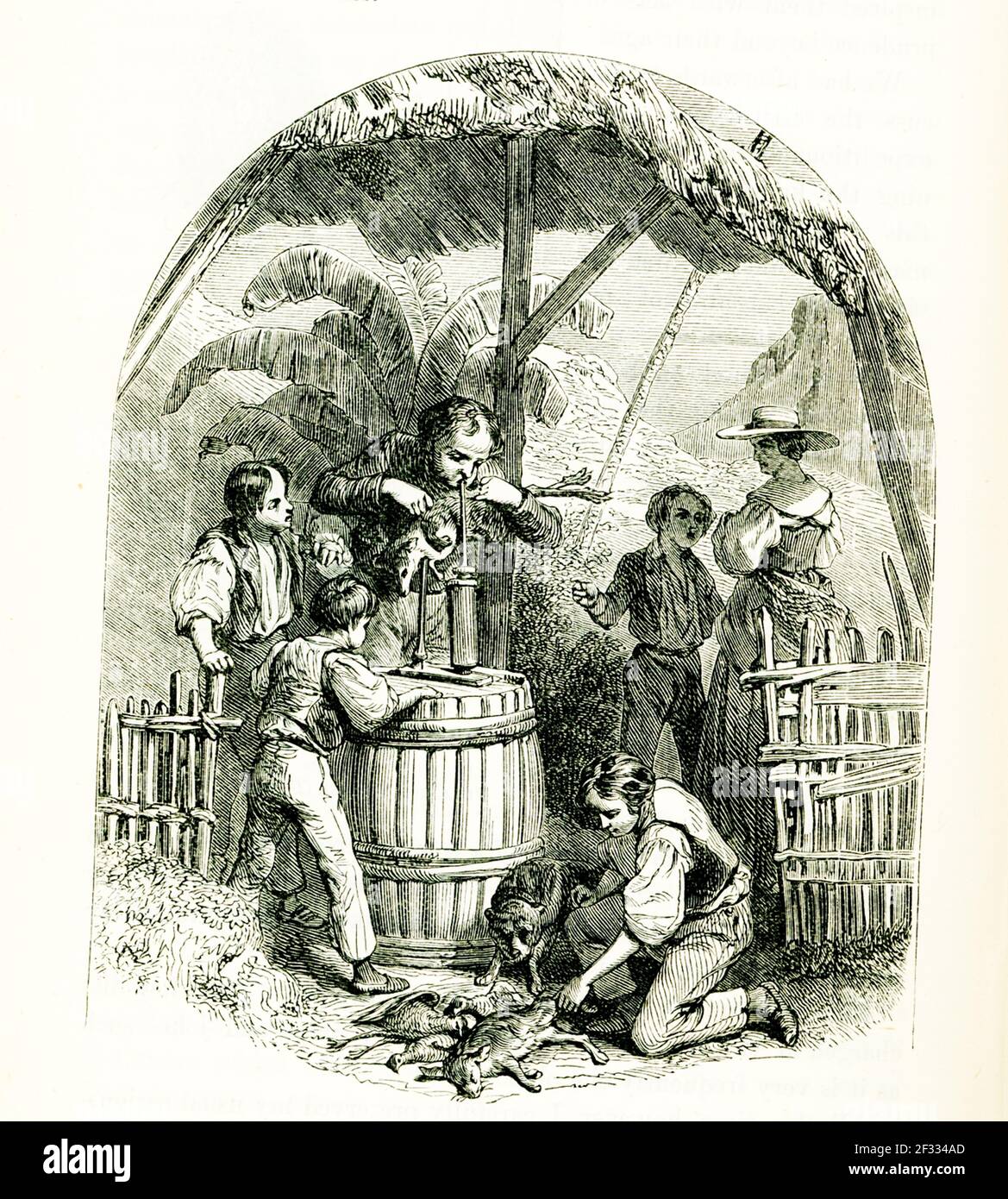 Swiss Family Robinson. The caption reads: “Skinning a Kangaroo.” The Swiss Family Robinson (German: Der Schweizerische Robinson) is a novel by Johann David Wyss, first published in 1812, about a Swiss family of immigrants whose ship en route to Port Jackson, Australia, goes off course and is shipwrecked in the East Indies Stock Photo