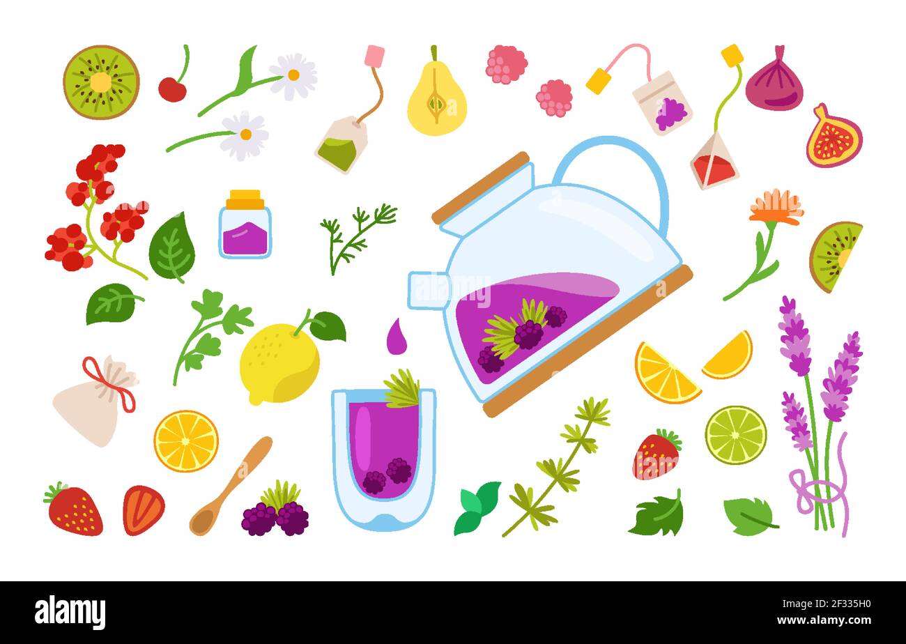 Hot tea with blackberries and herbs, fruits cartoon set. Kettle medical ...