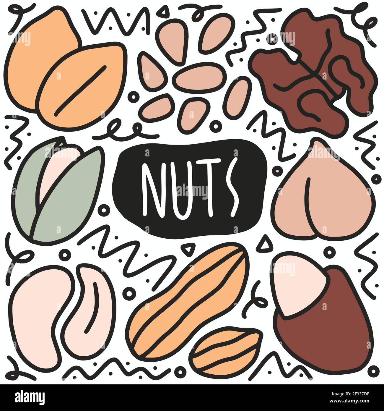hand drawn doodle nuts beams Stock Vector