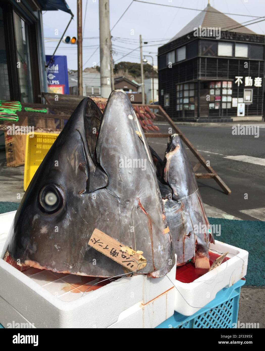 Two severed tuna heads sit by the roadside at a Japanese fish market Stock  Photo - Alamy