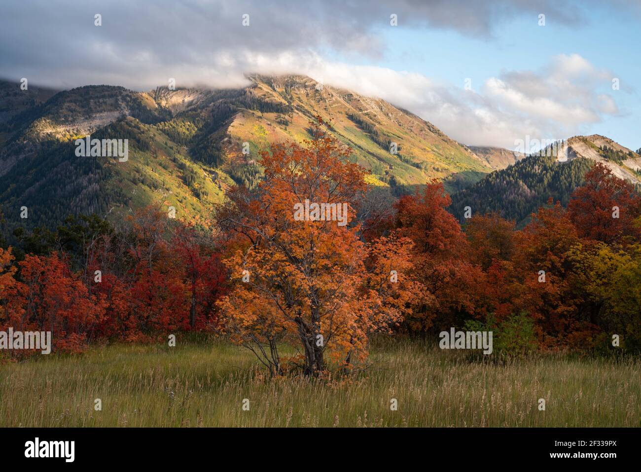 Provo Peak in the evening of Fall Stock Photo