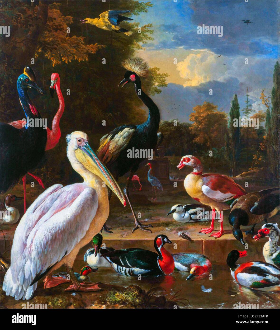 It features a pelican in the foreground, a cassowary behind it at the left, a flamingo and a black crowned crane. Water birds congregate in and around Stock Photo