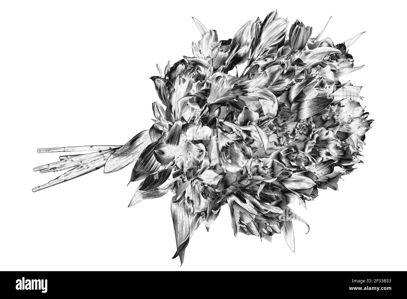 Vintage bouquet flower illustration Black and White Stock Photos ...