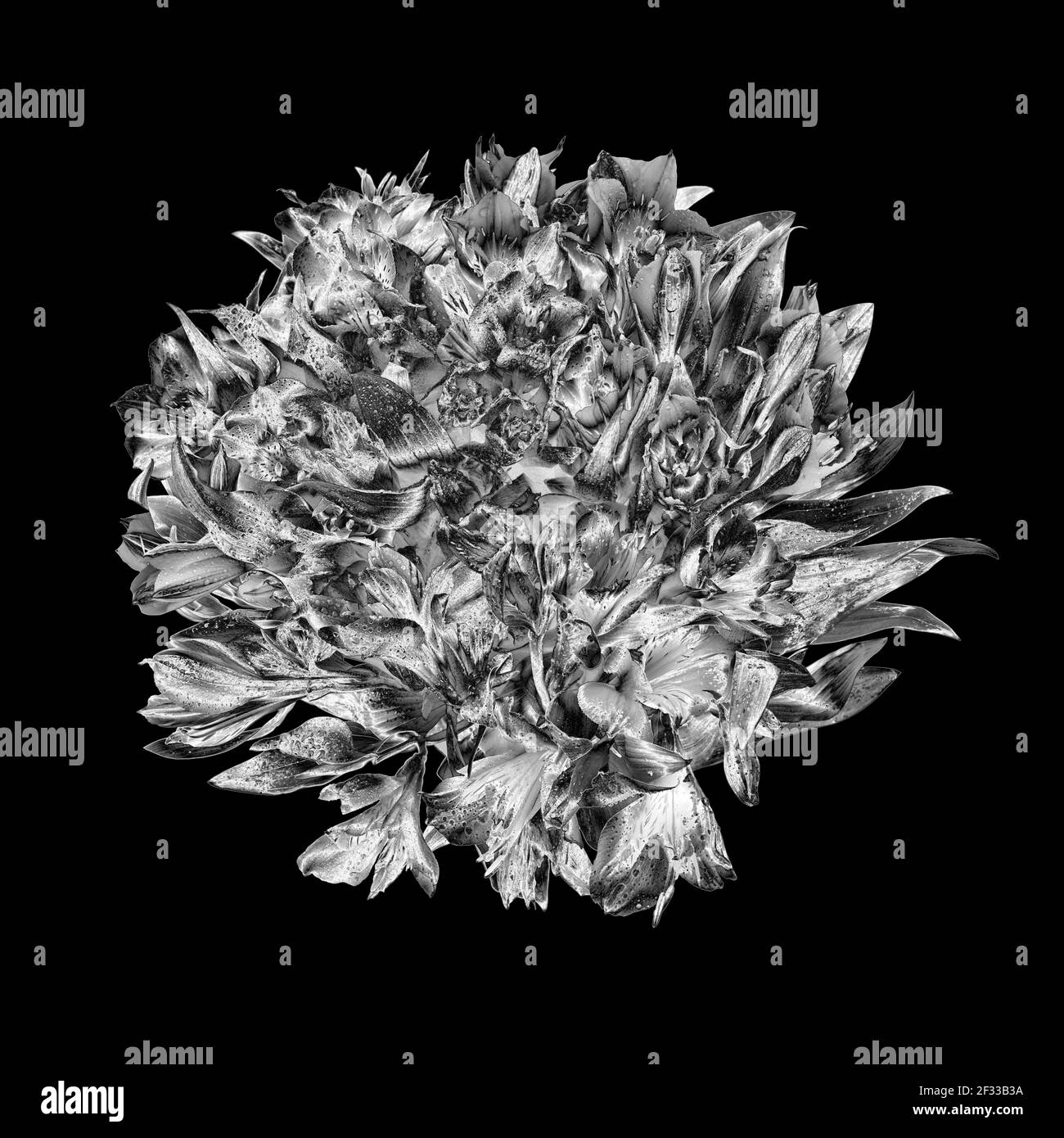 Silver flowers round bouquet dark black background isolated closeup