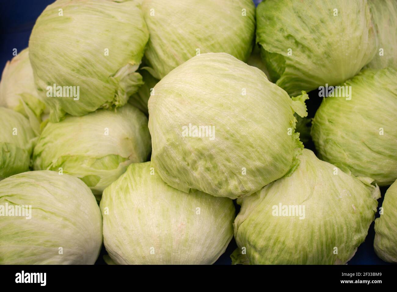 Group of green cabbages in a supermarket, Cabbage background, Fresh