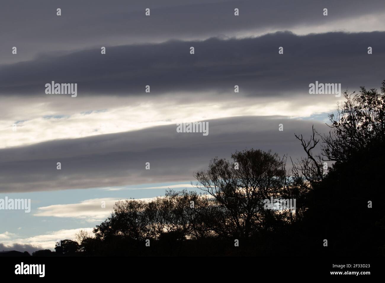silhouette of trees and a hill against the storm clouds and pale blue ...
