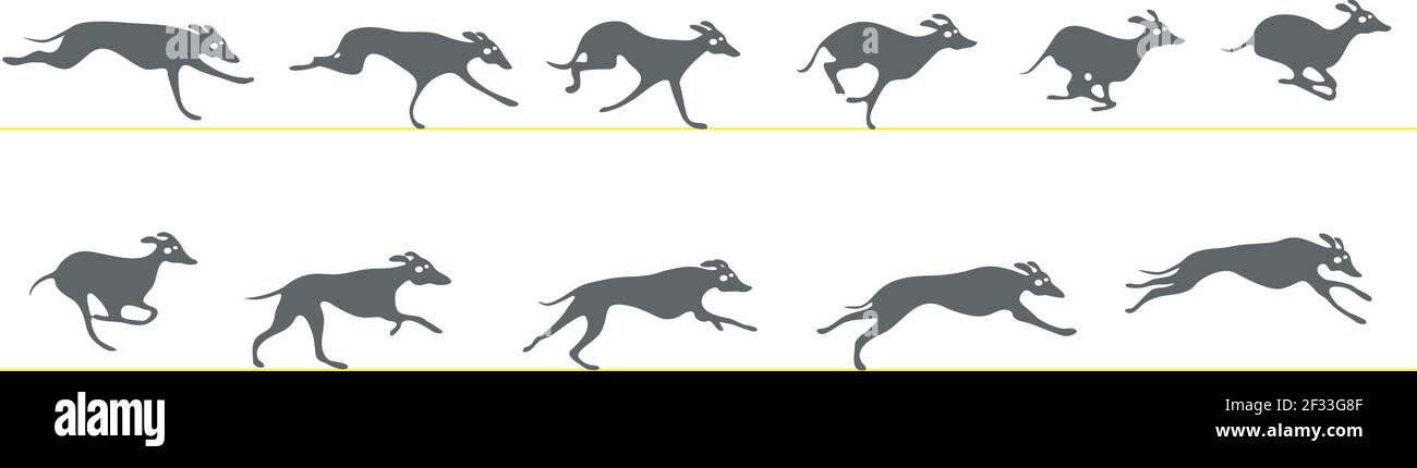 Greyhound running. Animation sprite sheet Stock Vector Image & Art - Alamy