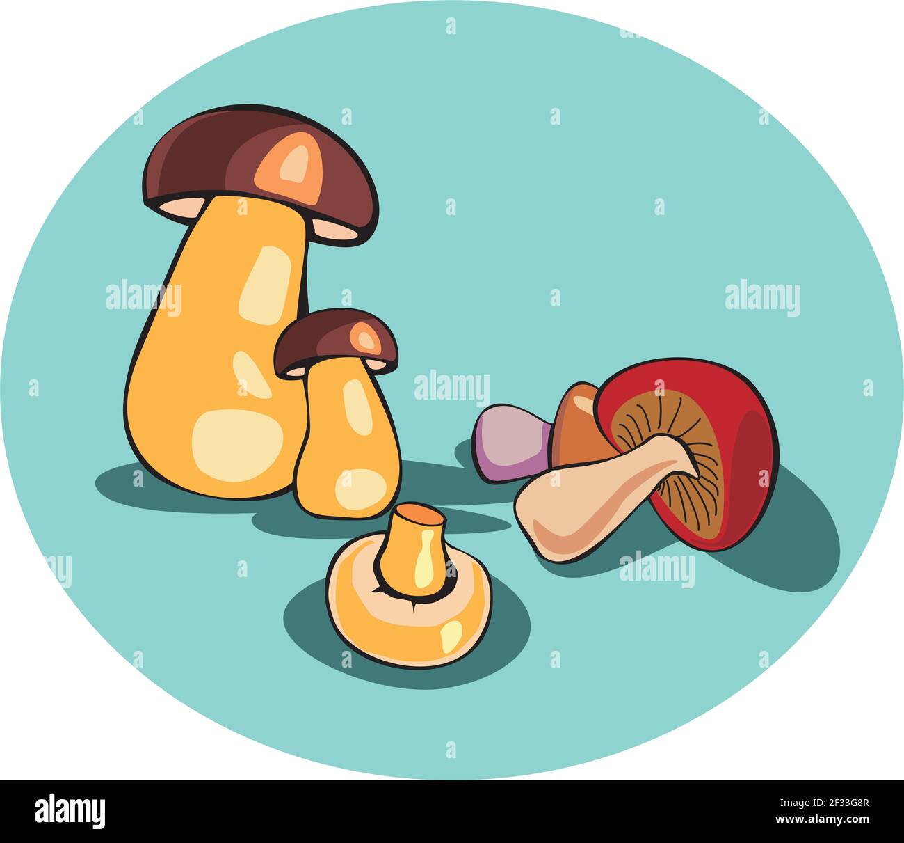 Mushrooms Vector Illustration Stock Vector Image And Art Alamy 8969