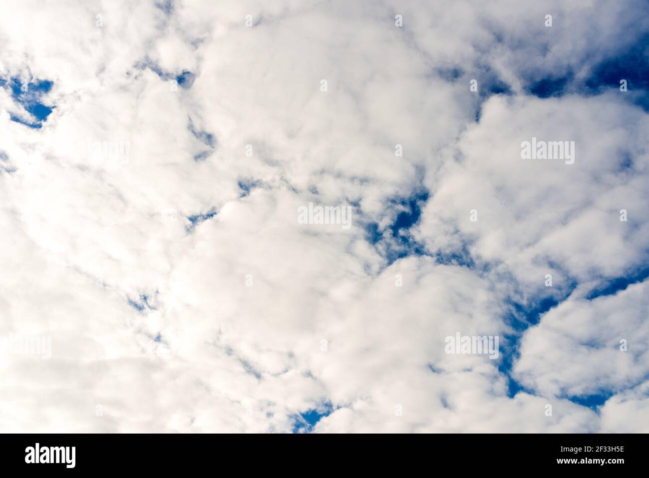 Cloud and blue skay background.Dramatic nice white clouds on a blue heaven. Stock Photo