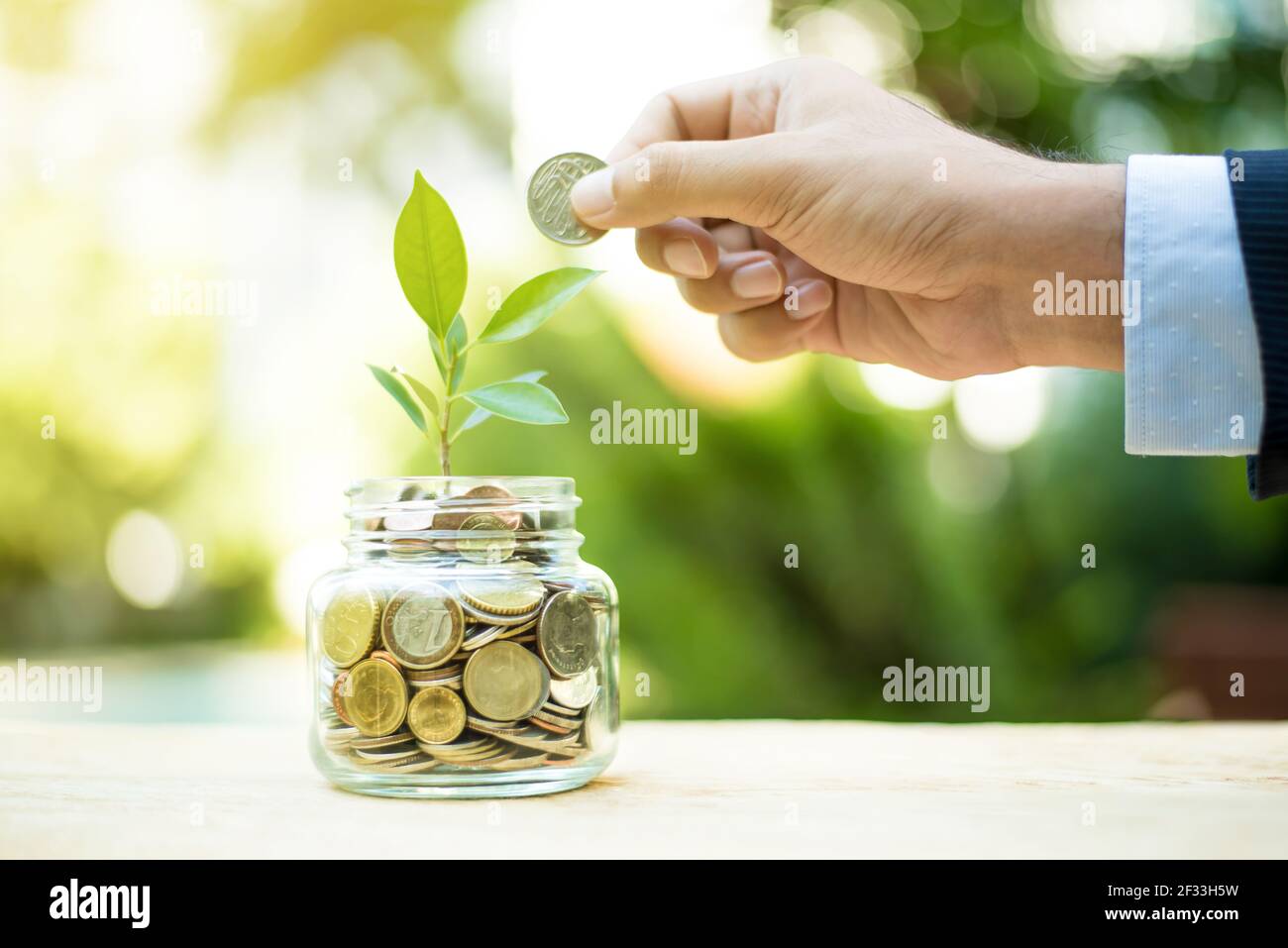 Plant growing from money in the glass jar - financial metaphor,  savings and investment  concept Stock Photo