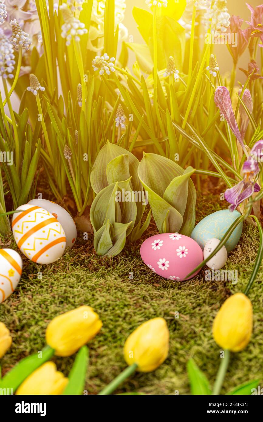 Easter greeting card Stock Photo