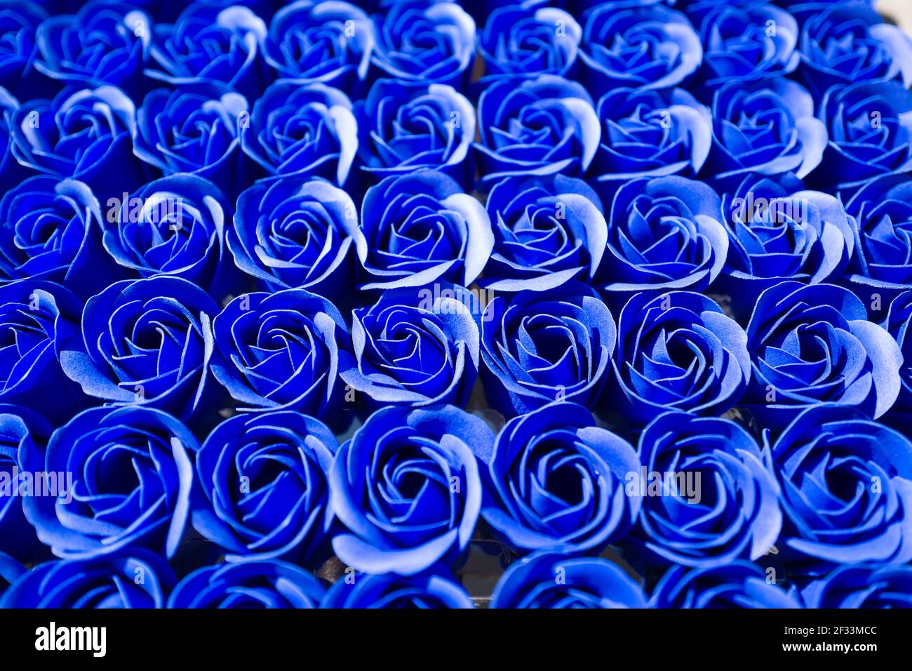 Heavenly roses hires stock photography and images Alamy