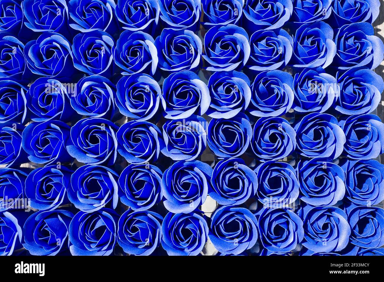 Heavenly roses hi-res stock photography and images - Alamy