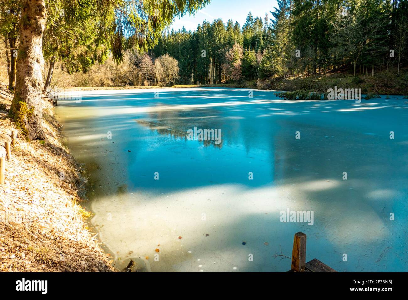 frozen lake with beautiful ice surface in forest Stock Photo - Alamy