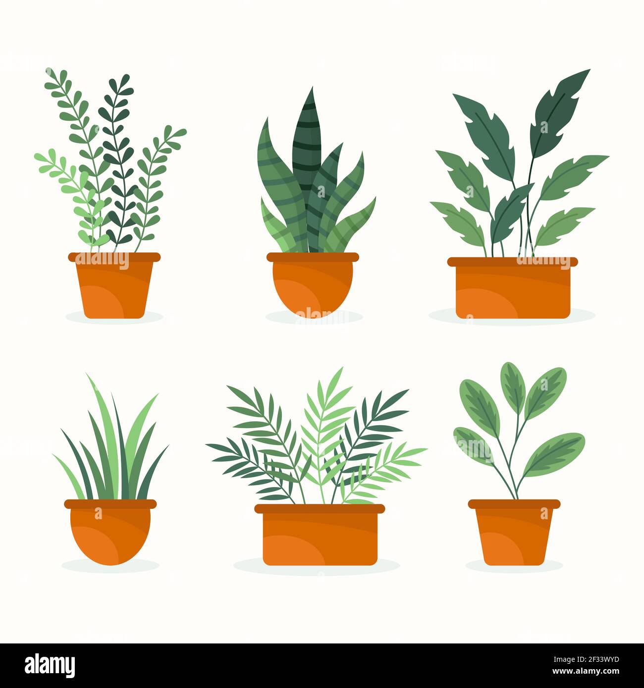 Collection of beautiful houseplants in pots Vector illustration Stock ...