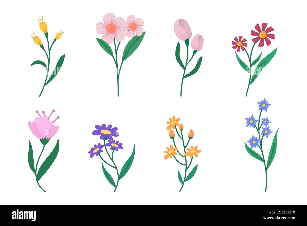 Organic flat flower collection Vector illustration Stock Vector Image ...