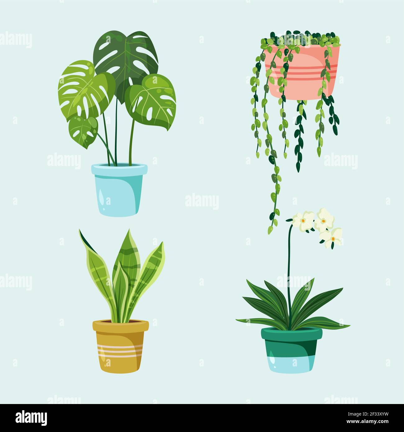 Collection of beautiful houseplants in pots Vector illustration Stock ...