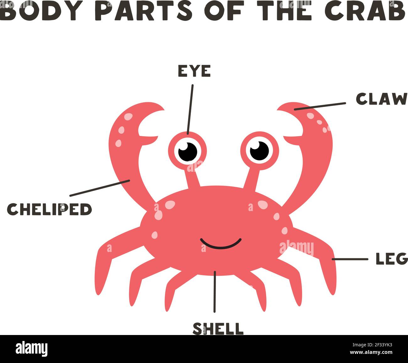 Body parts of the cute cartoon crab. Animals anatomy in English for
