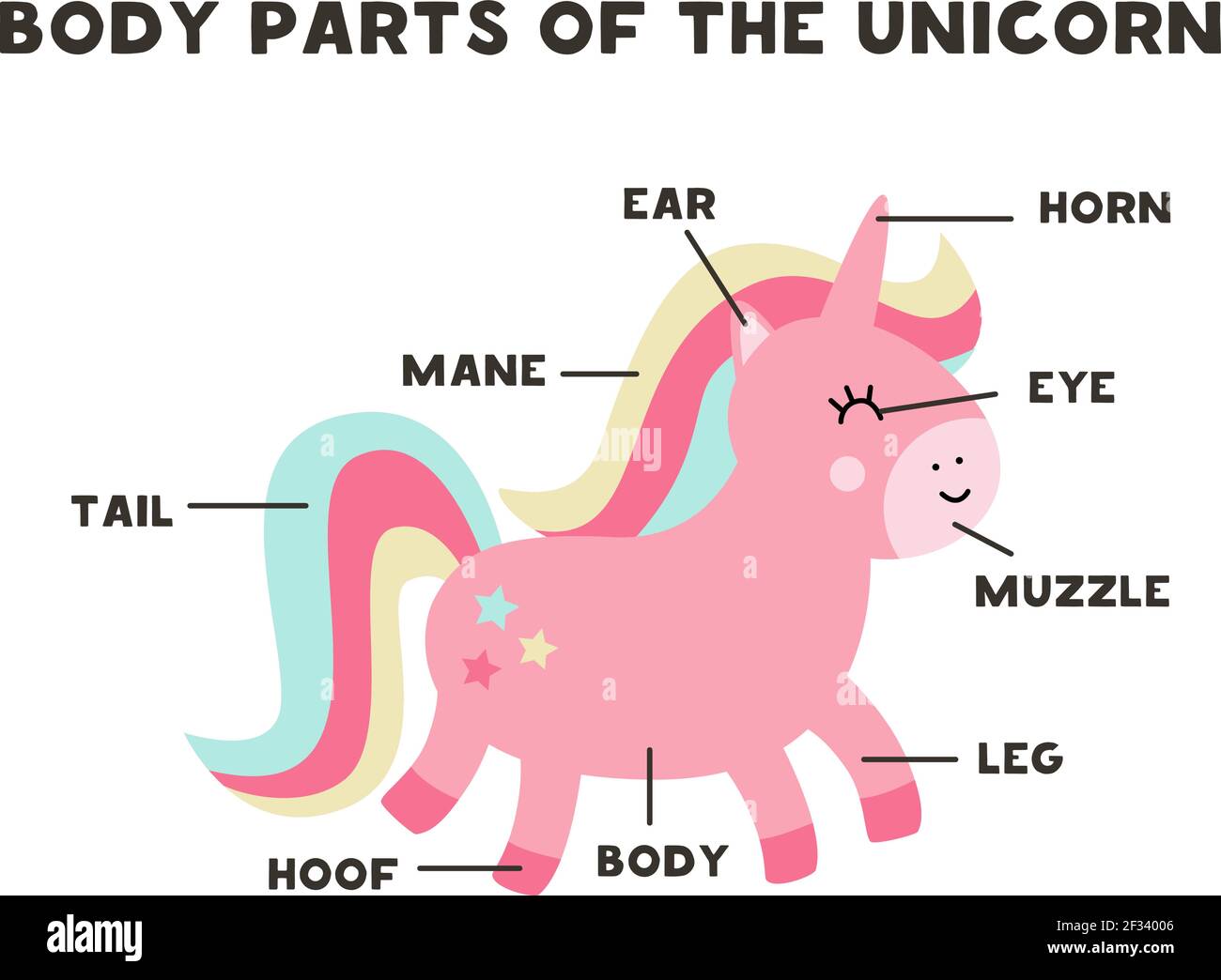 Body parts of the cute cartoon unicorn. Animals anatomy in English for