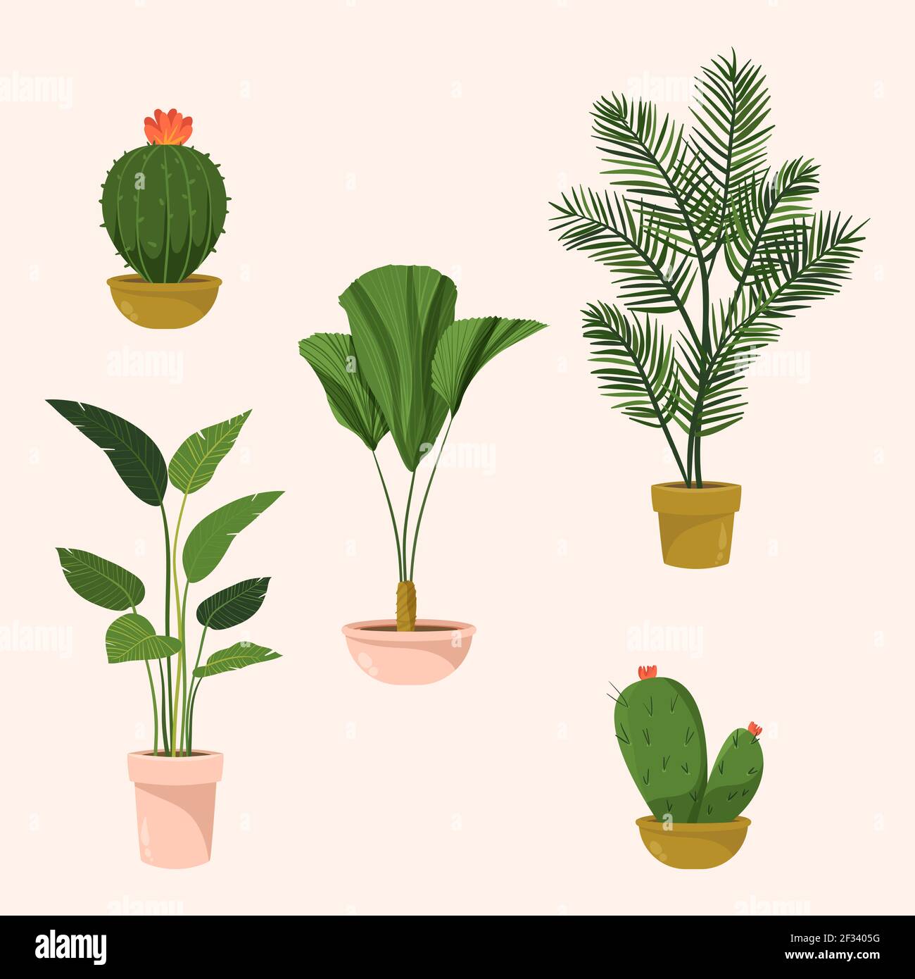 Collection of beautiful houseplants in pots Vector illustration Stock ...
