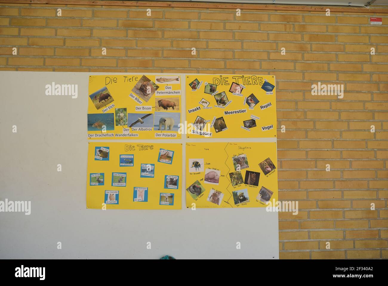 Teacher students in school hall hi-res stock photography and images - Alamy