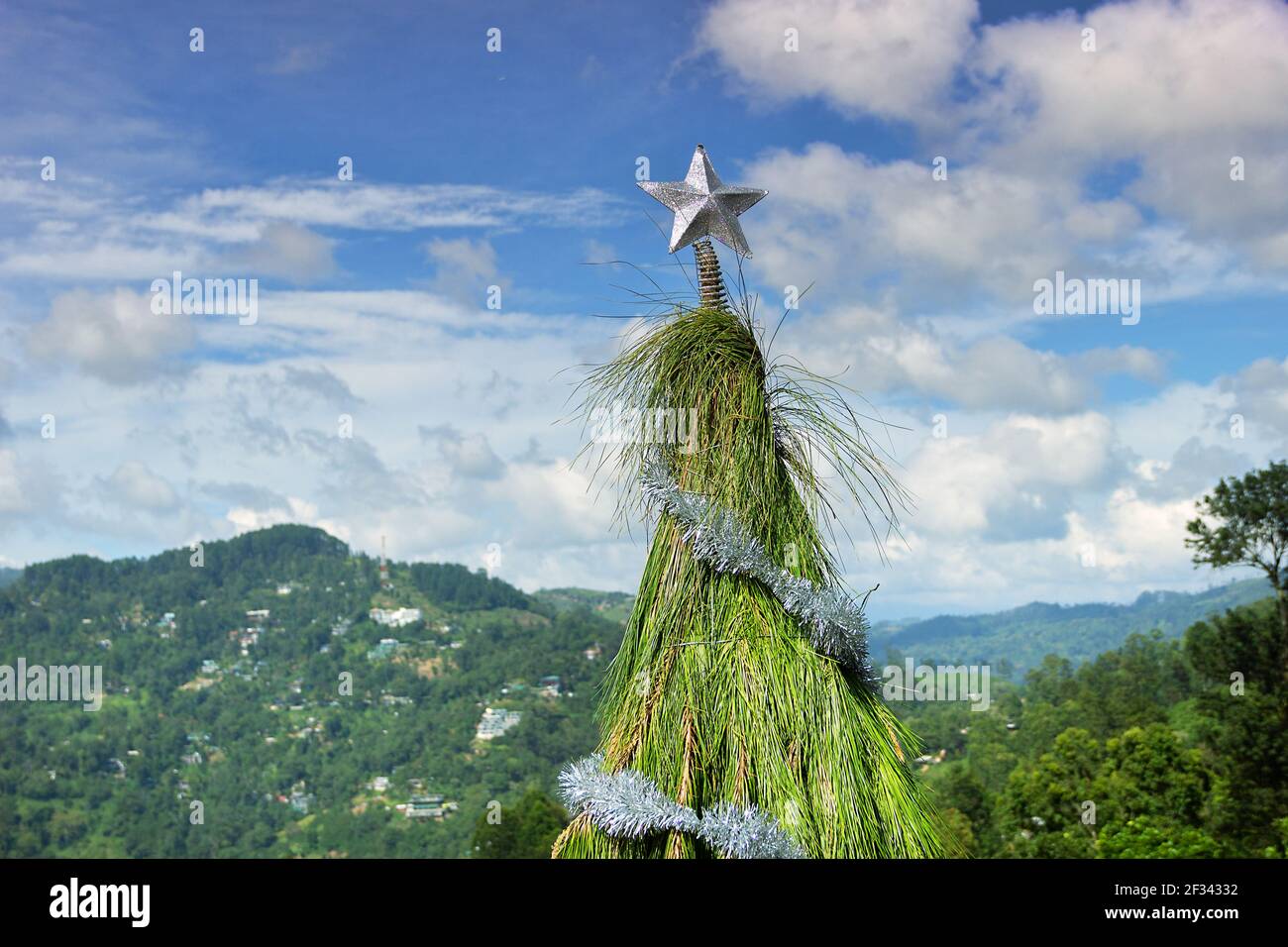 Unusual Christmas tree for the new year with a star in the tropics. Sri