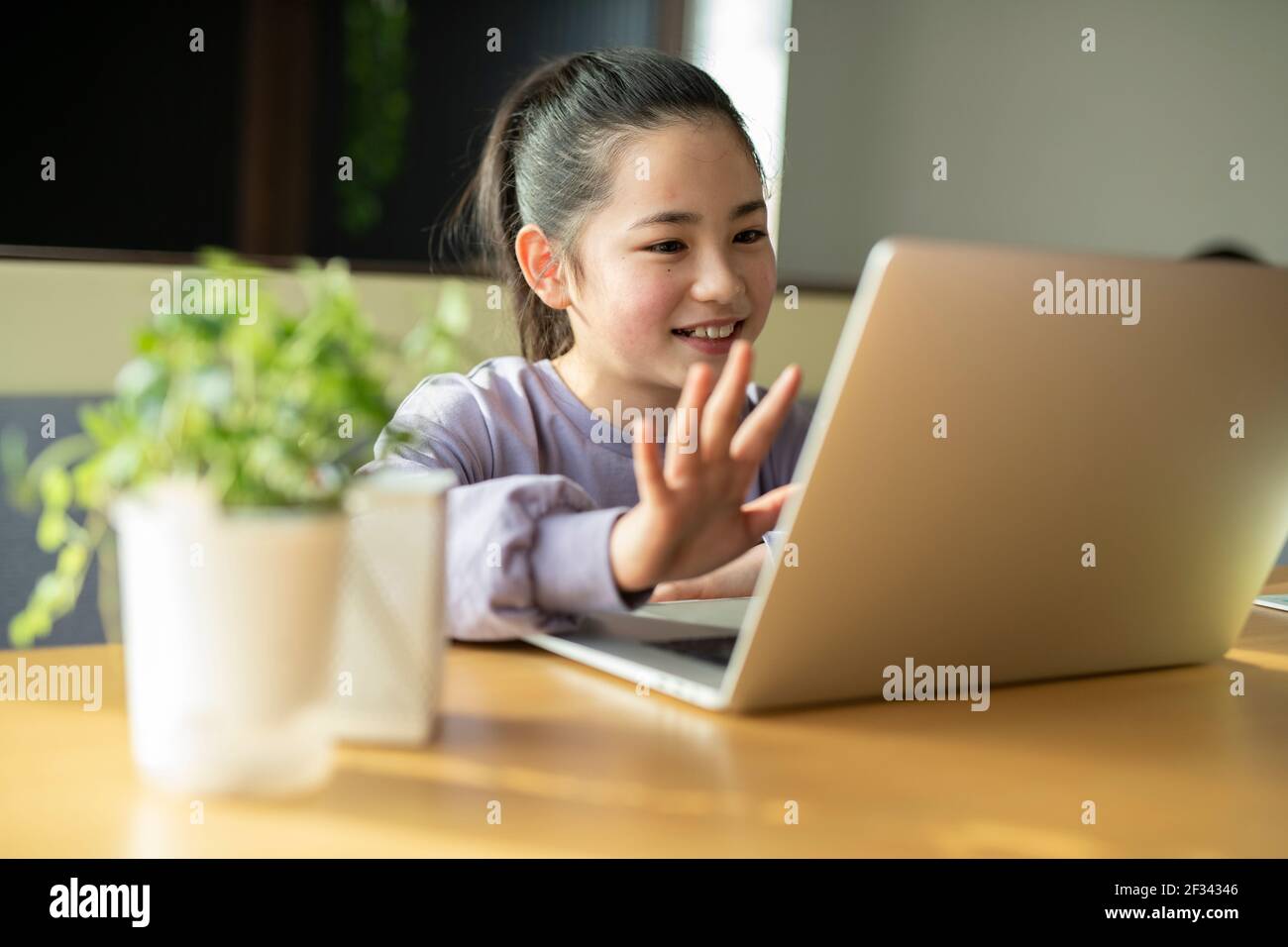 Girl Using Video Call Stock Photo Alamy