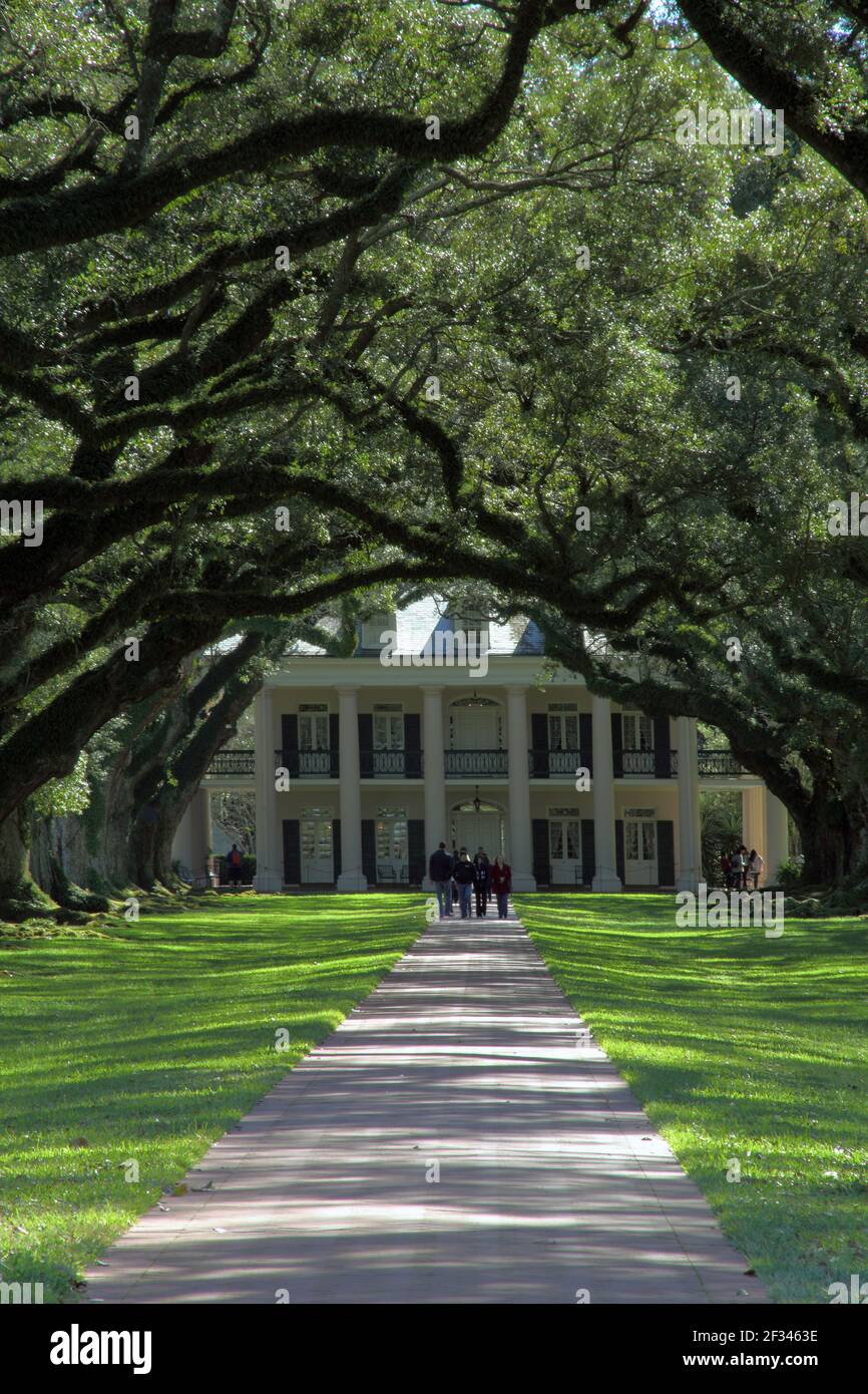 geography / travel, USA, Louisiana, Great River Road, Oak Alley Plantation, Great River Road, Additional-Rights-Clearance-Info-Not-Available Stock Photo