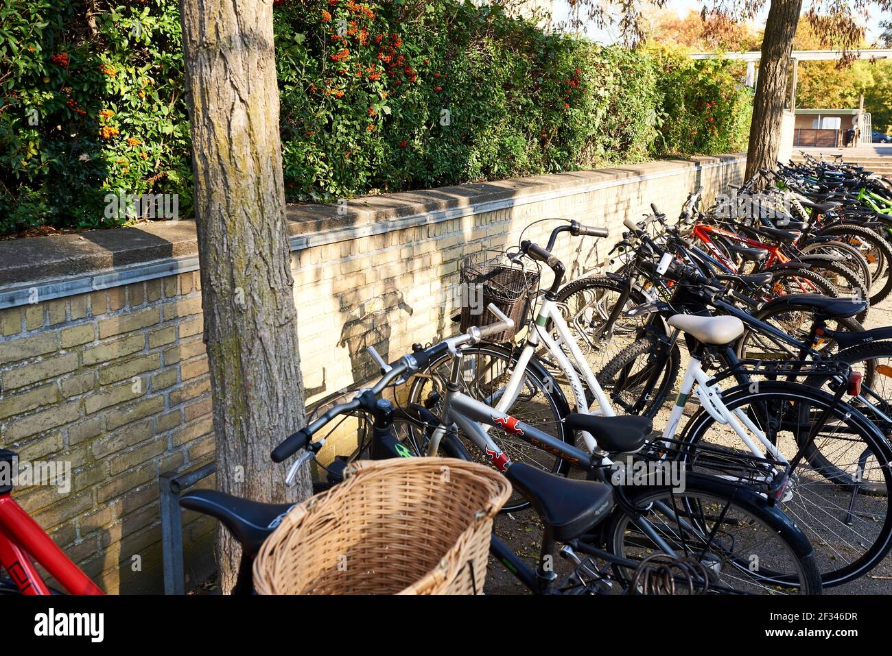 bicycle parking space with bike rack on school yard Stock Photo Alamy