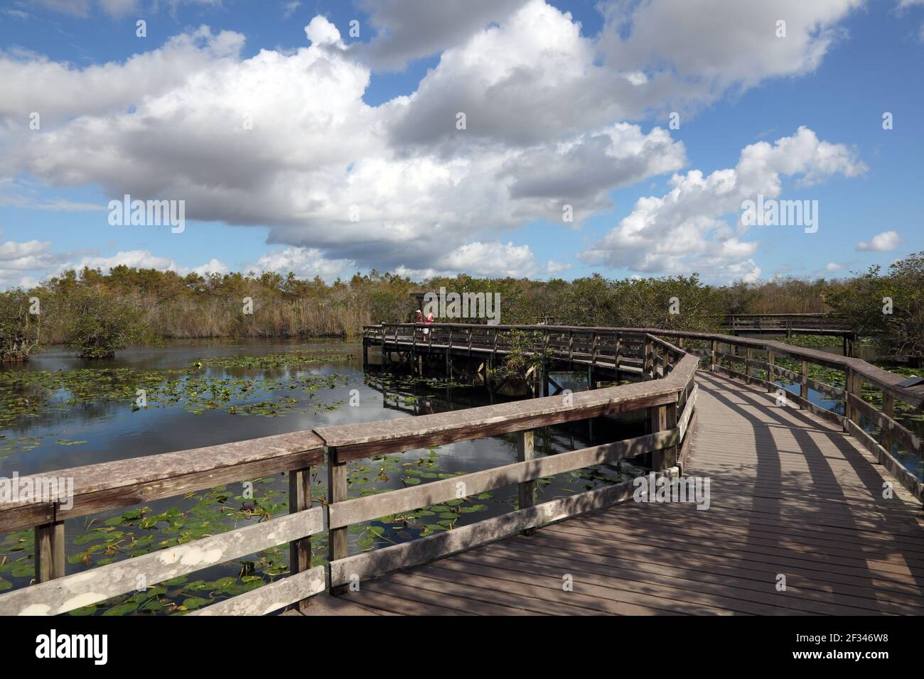 geography / travel, USA, Florida, Everglades National Park, Anhinga Trail, Everglades National Park, Additional-Rights-Clearance-Info-Not-Available Stock Photo