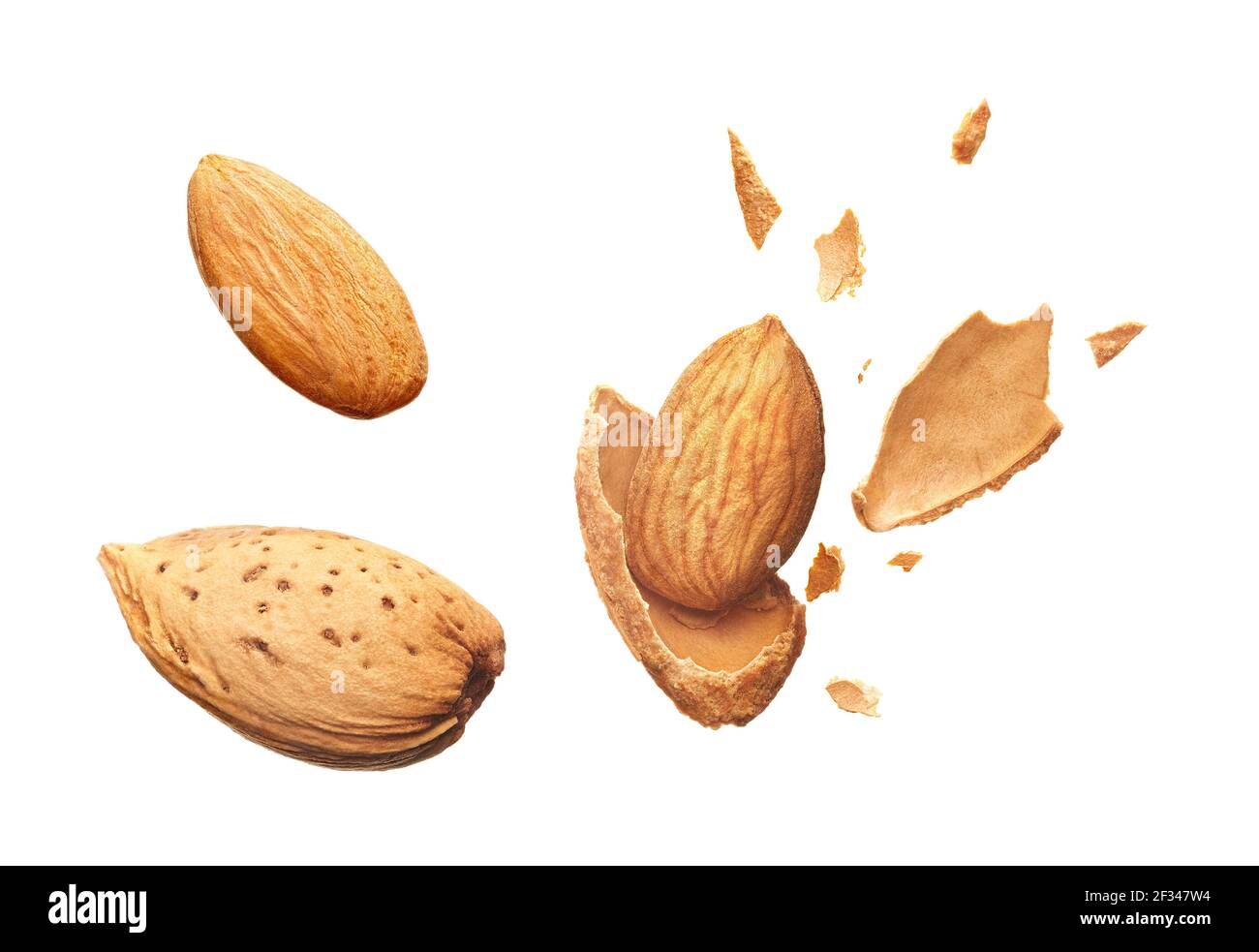 Almond shell cracked into pieces and whole almond isolated on white
