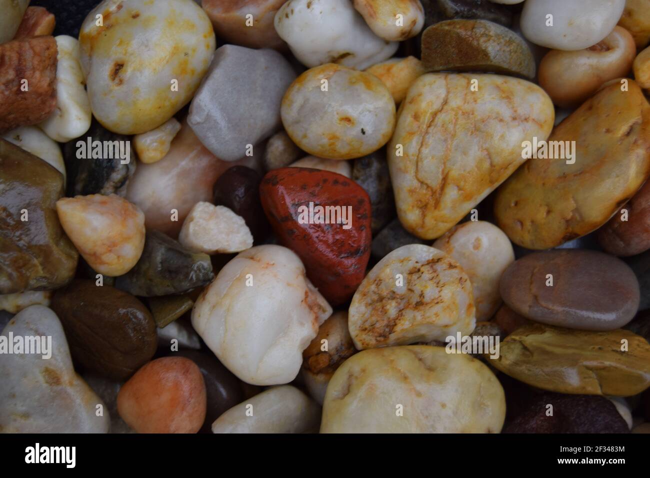 Wet Pebbles #2 Stock Photo