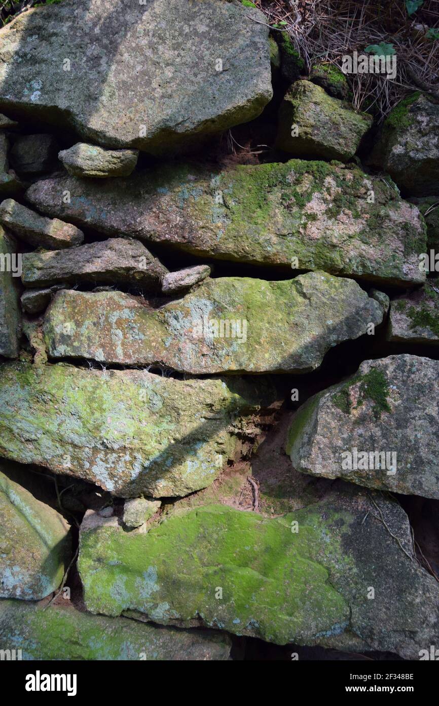 Rural Stone Wall in protrait Stock Photo