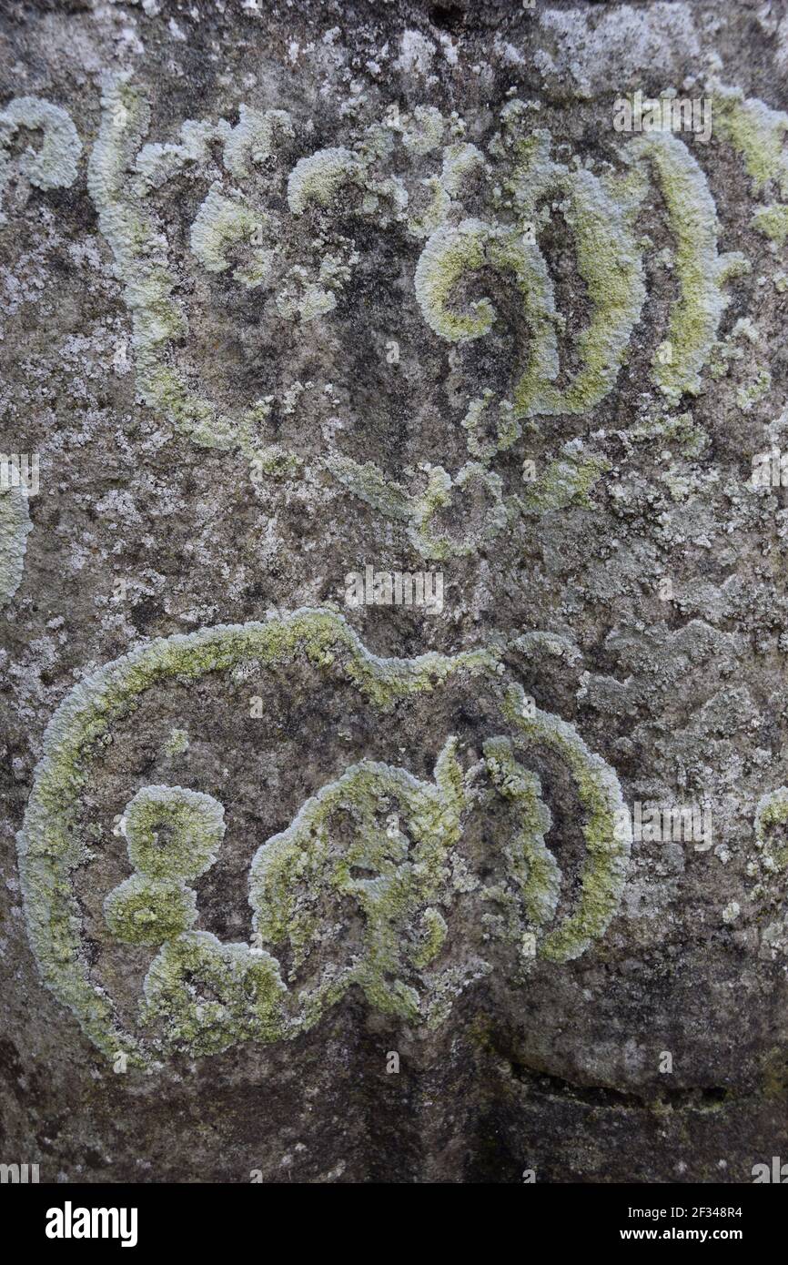 Lichen Patterns on Rock #1 Stock Photo