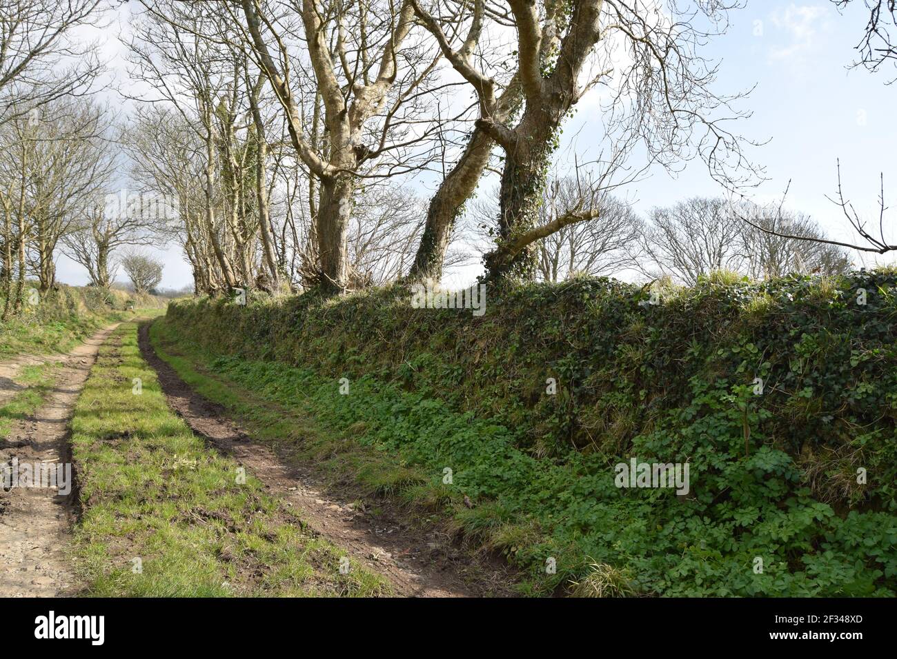 Walled Farm Track in landscape Stock Photo