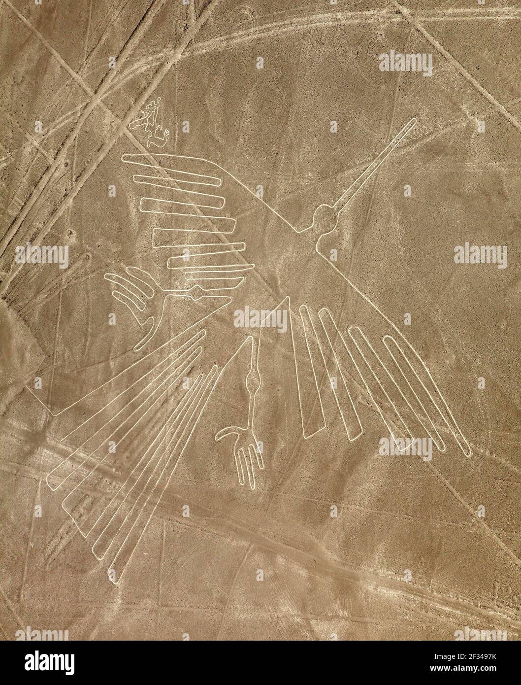 Condor geoglyph, Nazca or Nazca mysterious lines and geoglyphs aerial view sepia colored, landmark in Peru Stock Photo