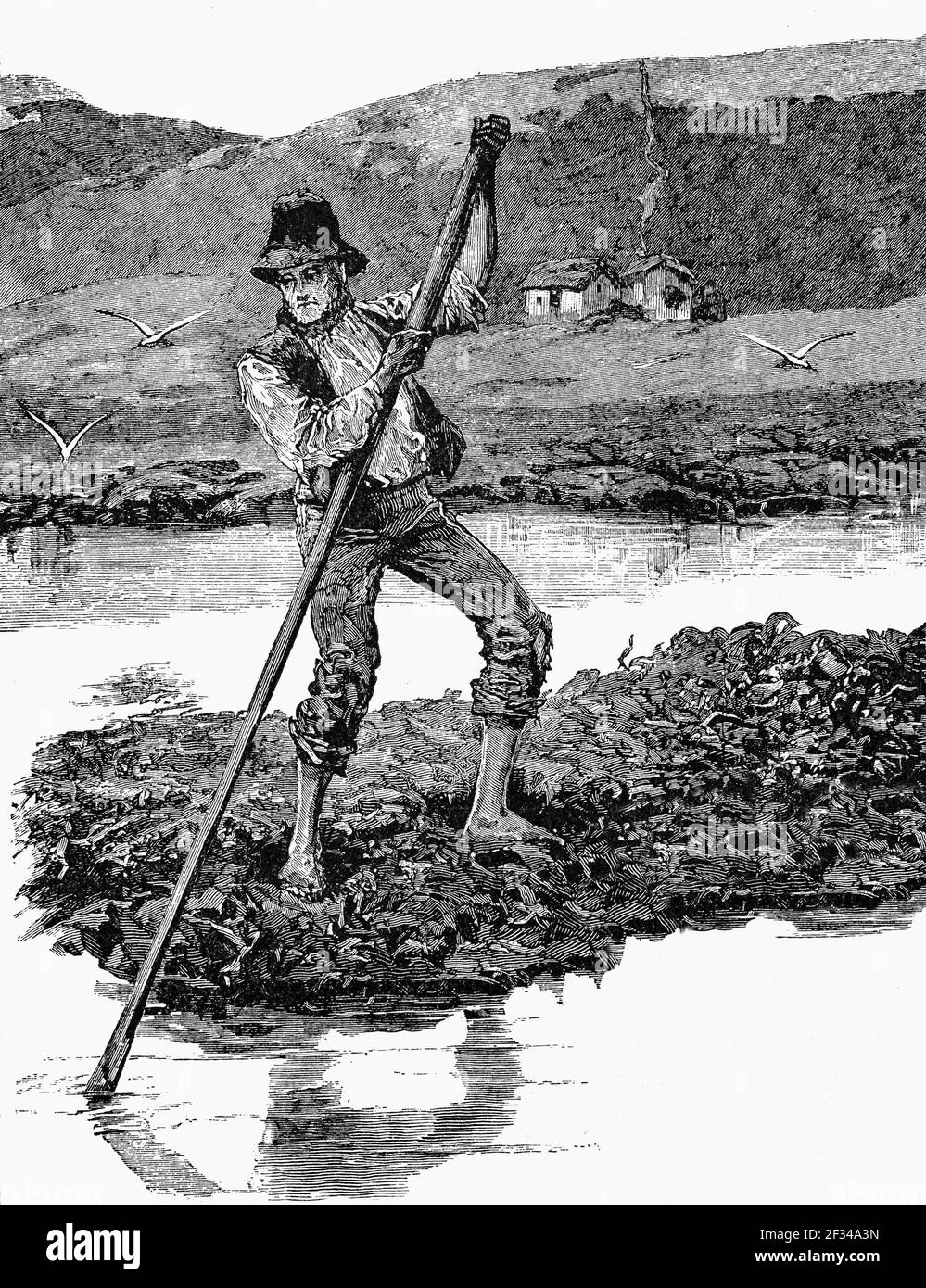 A 19th Century cartoon illustration of a farmer maneuvering a raft of tangled seaweed for use as fertiser. Off the Connemara coast, County Galway, Ireland Stock Photo
