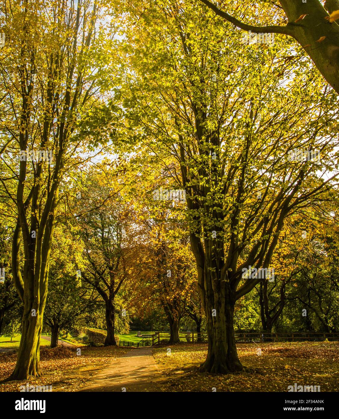 Boswell park hires stock photography and images Alamy
