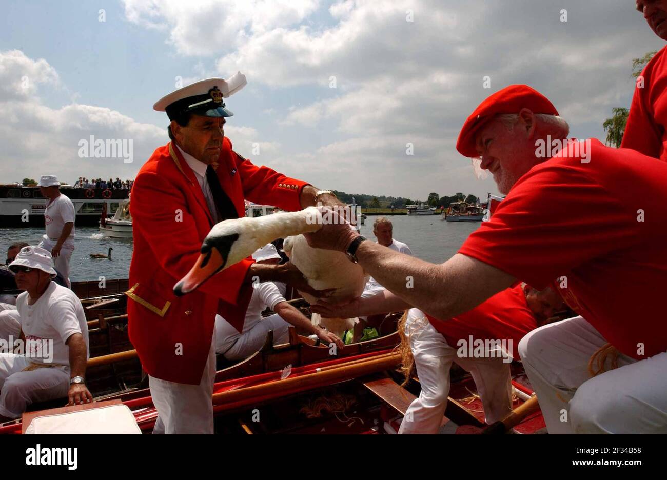 THE QUEENS SWAN MARKER DAVID BARBER DURING SWAN UPPING ON THE THAMES