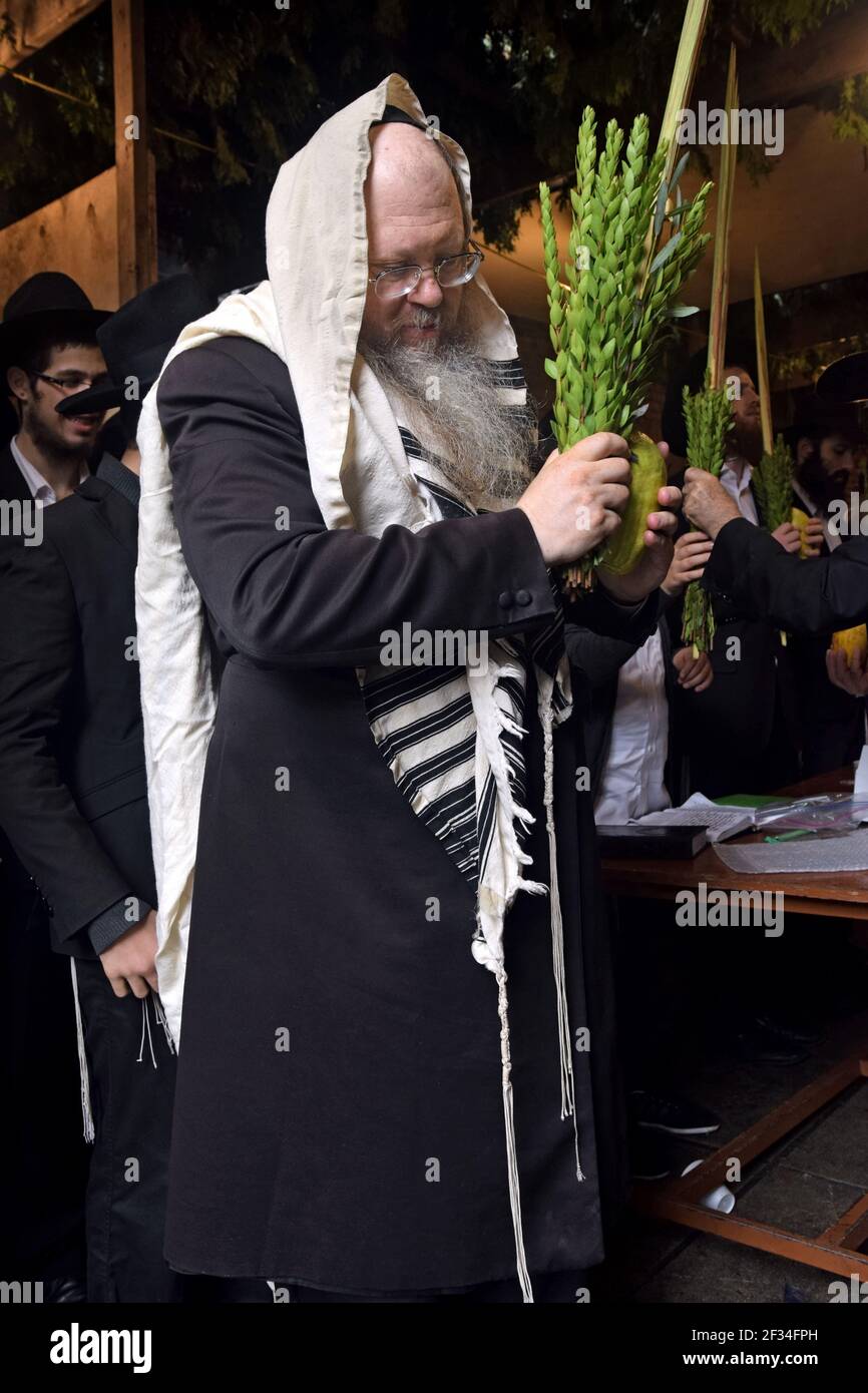 Chabad rabbi Beryl Epstein blesses the 4 Sukkos species in a Sukkah in