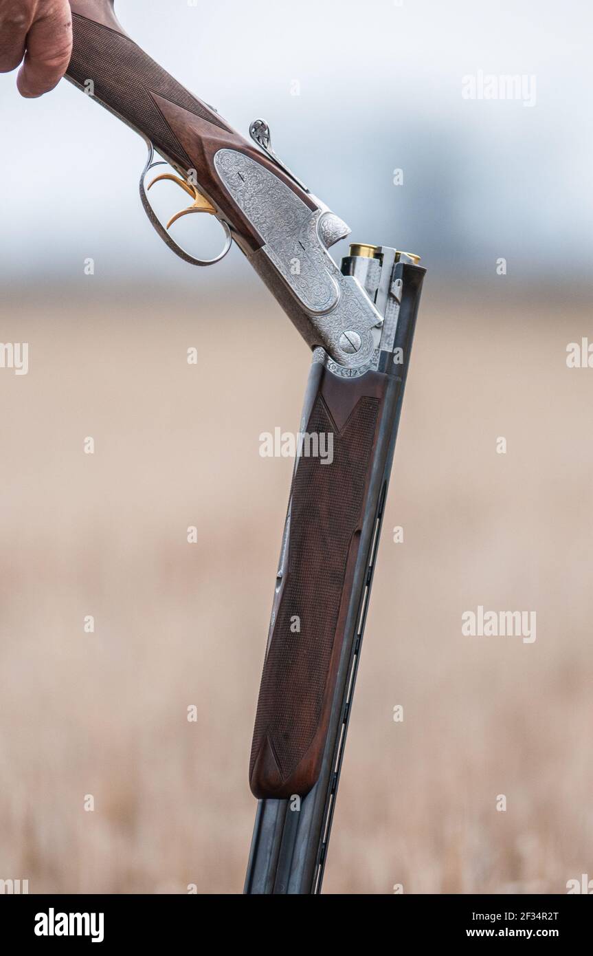 Close up shot of an unloaded gun handled by am adult man during a shooting day Stock Photo