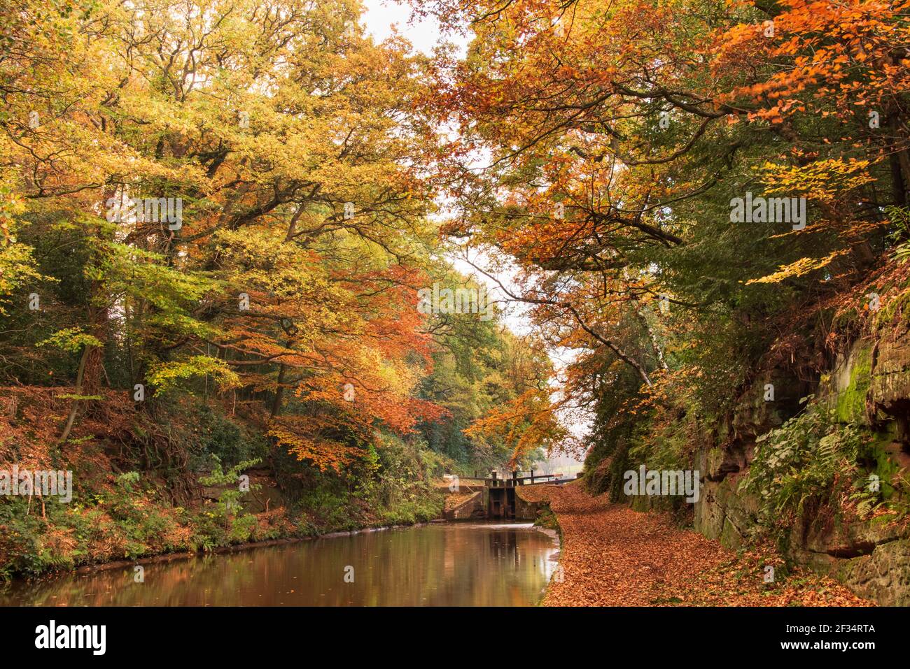 Market Drayton Canal Stock Photo Alamy