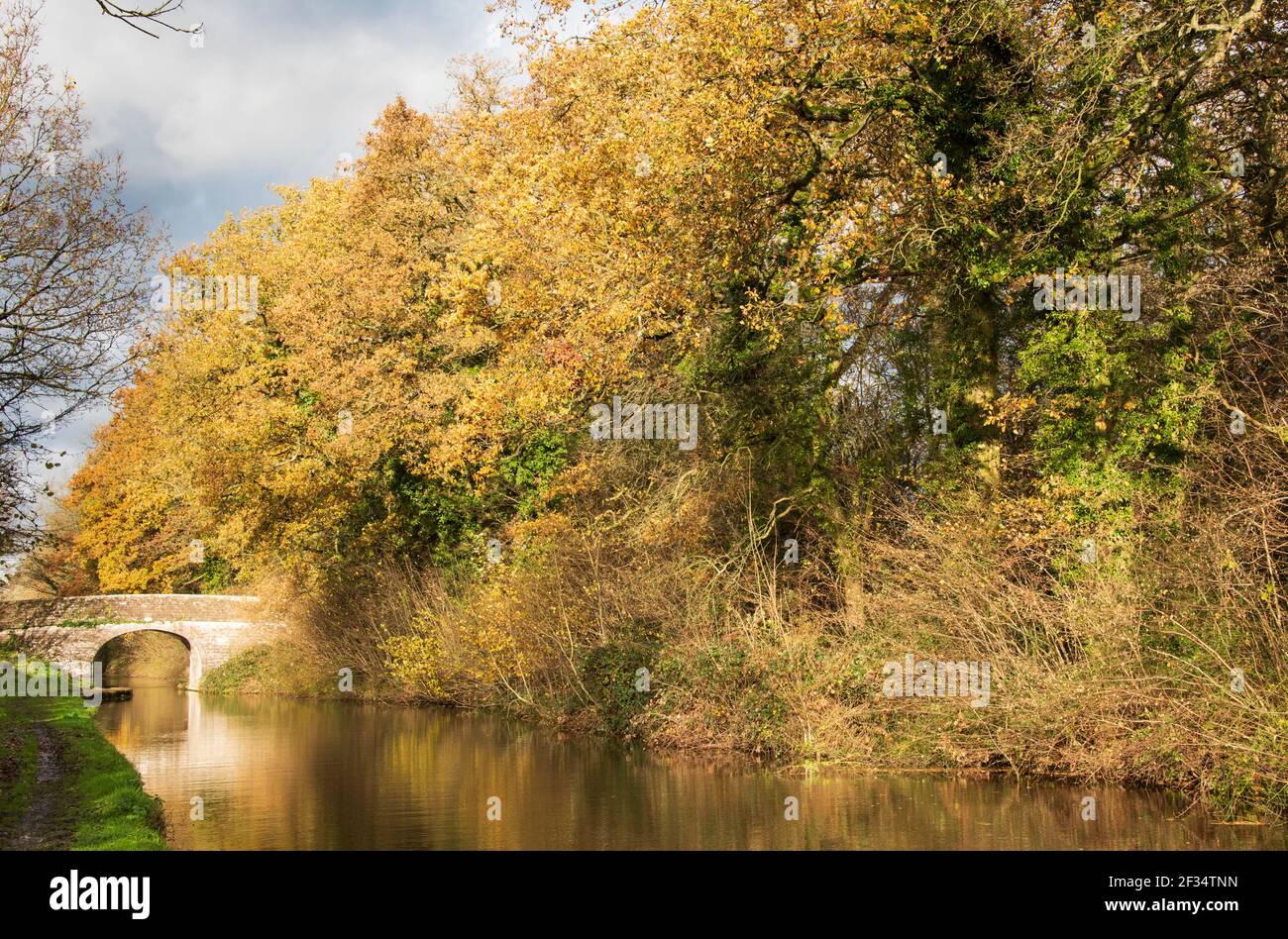 Market Drayton Canal Stock Photo