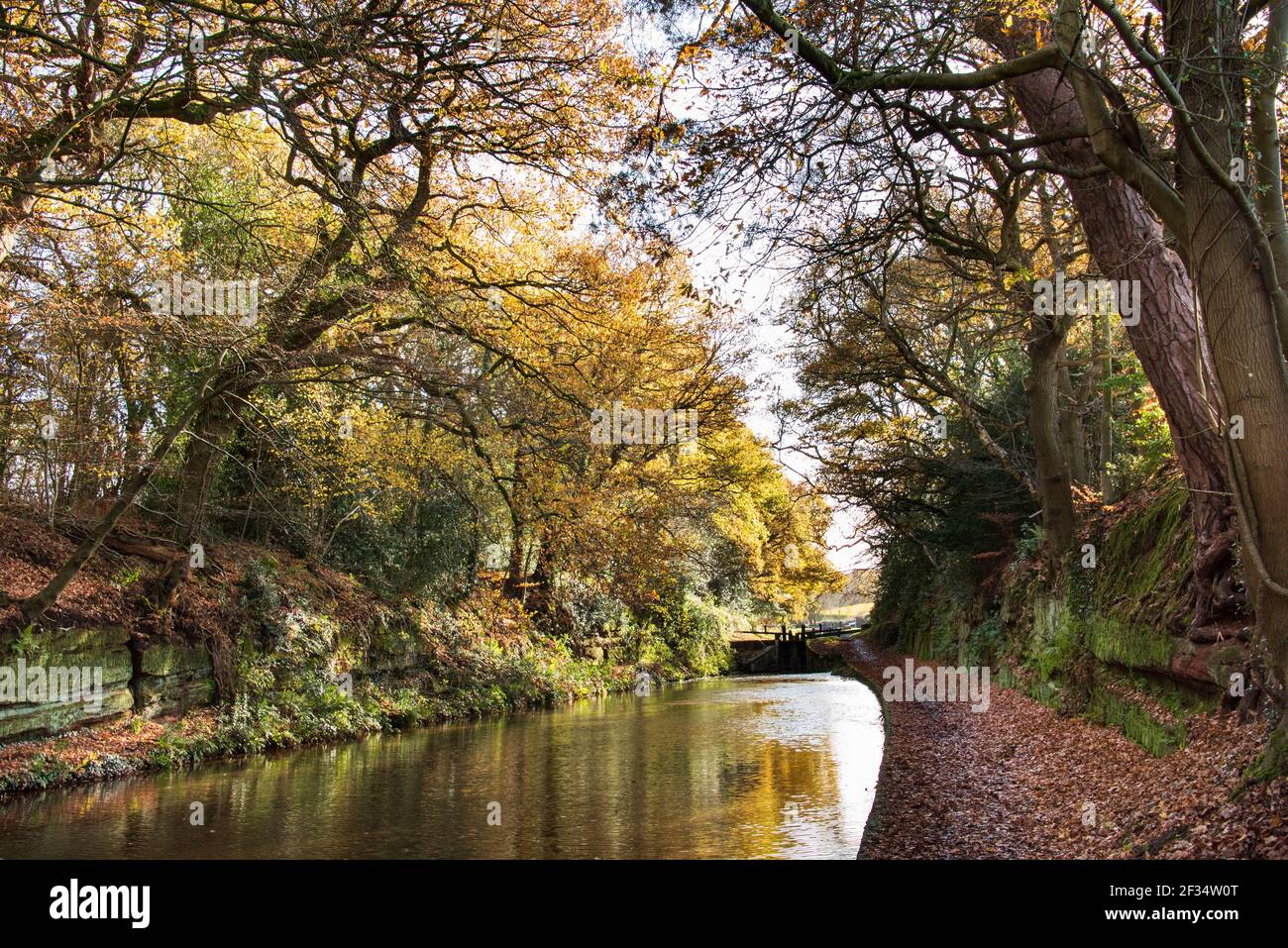 Market Drayton Canal Stock Photo Alamy