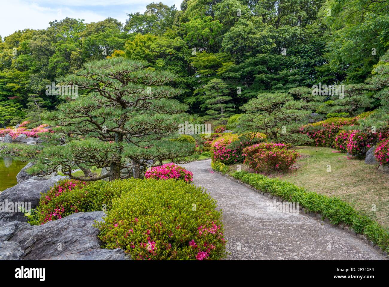 Footpath in a beautiful Japanese garden with pine trees and flowers Stock Photo
