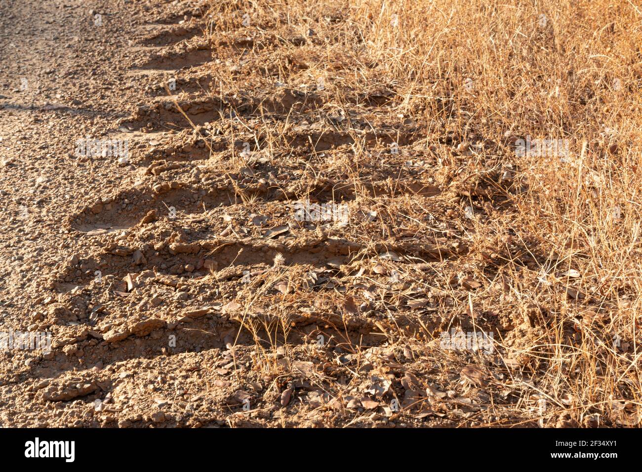 Wheel Track Rural Road Wheel tracks field car hi-res stock photography and images - Alamy