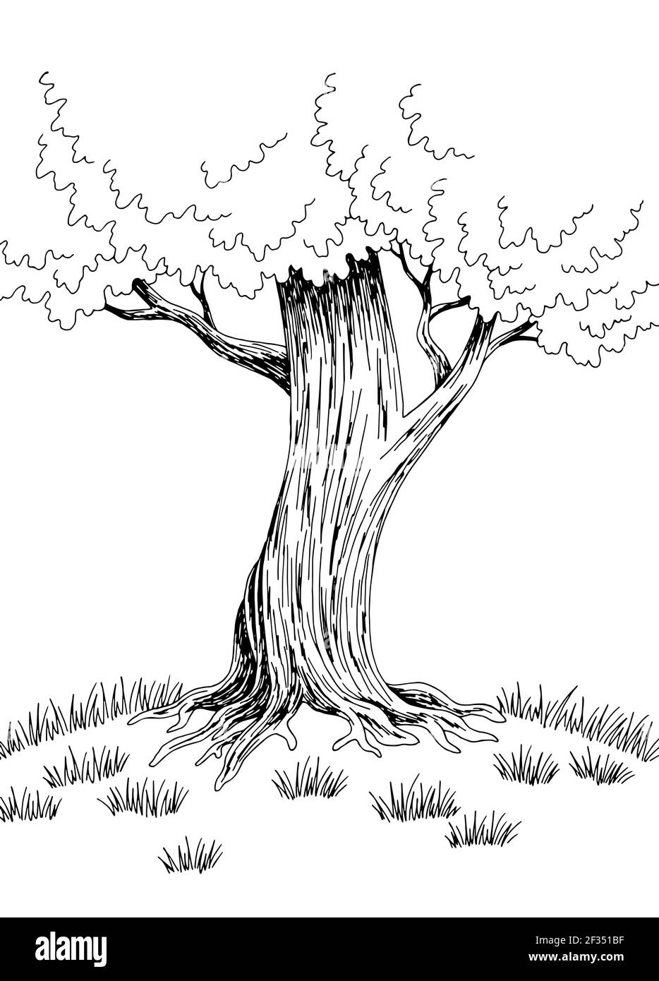 Big tree drawing lines Royalty Free Vector Image